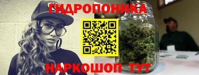 крисы Партизанск