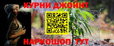 крисы Партизанск