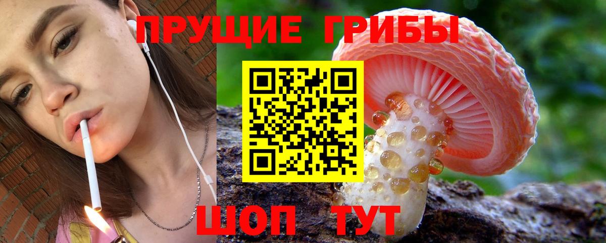 Галлюциногенные грибы прущие грибы  Псилоцибиновые грибы GOLDEN TEACHER  Усть-Джегута  Вход с VPN 